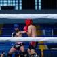 Campeonato Brasileiro de Kickboxing - 32º Adulto e 26º sub 17