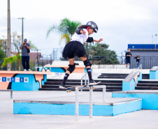 skate