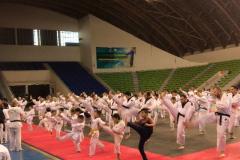 imagens do projeto Paraná Taekwondo!