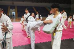 Mega Aulão Paraná Taekwondoo