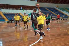 Campeonato Metropolitano de Handebol