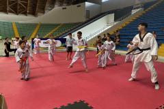 Taekwondo para Todos 