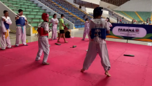 imagem mostrando o treino dos alunos do taekwondo para todos